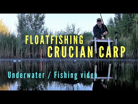 Floatfishing Crucian Carp / Flötmete Ruda (2020)