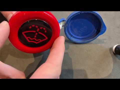 Ford Focus/ Fiesta Washer Bottle Bung (Paintmodz) ST RS ST Line Fitting Guide