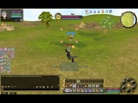 Insanity Flyff 2019 Clean and quick Crackershooter lvl up grind