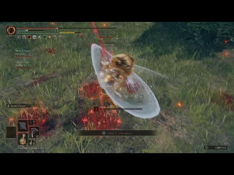 ELDEN RING perfectly balanced game