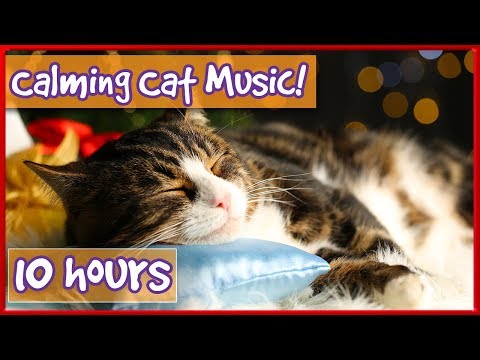 Calming Music For Cats! Soothe Your Cat With Soft Music and Help Them Relax! Reduce Stress & Anxiety