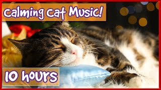 Calming Music For Cats! Soothe Your Cat With Soft Music and Help Them Relax! Reduce Stress &amp; Anxiety