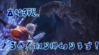 【MHW】part62 古龍3戦、第1試合目！レディー、ファイッ！