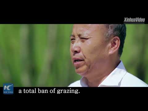 Desert town turns into green city: Fight against desertification in Ordos, China