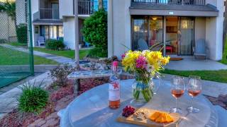 Vacation Rental: Sugar Beach D14, Panama City Beach, Fl