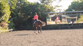 Video koně Kh Arvan