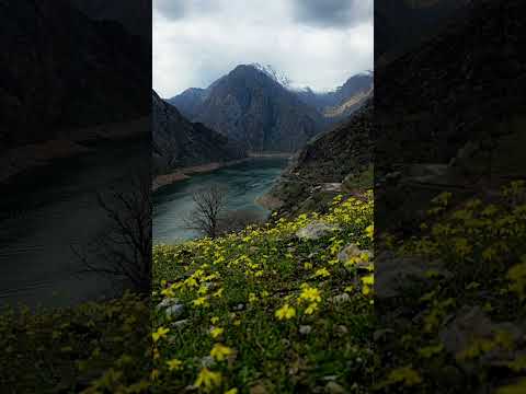 Beautiful place on the world❤️❤️ #music #love #bollywood #nature #bolleywoodsong