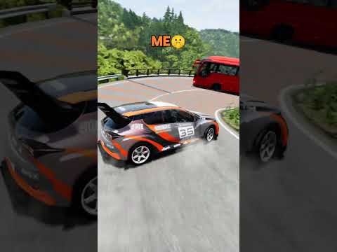 Family Mountain road driving style😂 #beamngdrive