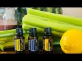 Essential oils for addiction: physical and emotional recovery