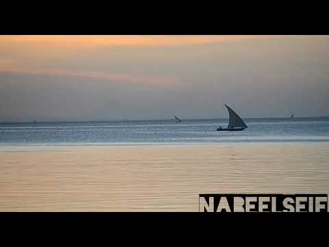 UMBO LANGU DAWA TAARAB