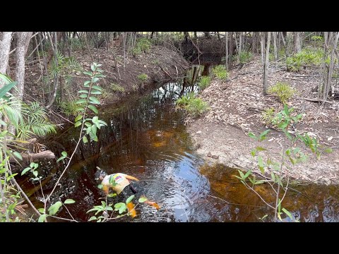 Ganz schön Eng! Der Rochenbach von Mavicure - JBL Expedition Kolumbien 2022 Teil 6
