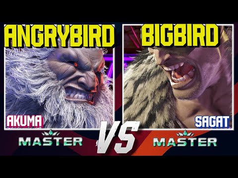 AngryBird vs BigBird 😱 Akuma vs Sagat | High Level SF6 Replay