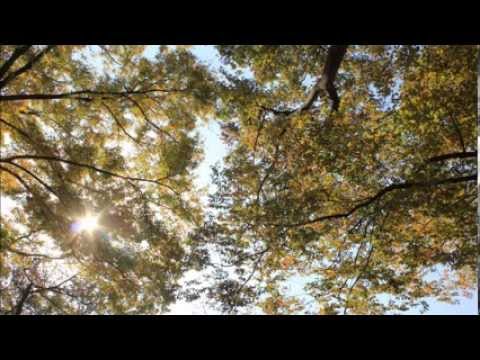 모리(morrie) - Mr.Wonderful