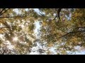 모리(morrie) - Mr.Wonderful 