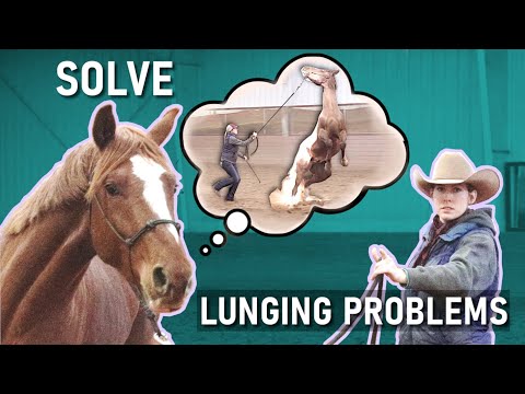 Getting PULLED AROUND by your horse? Here's how to fix it!