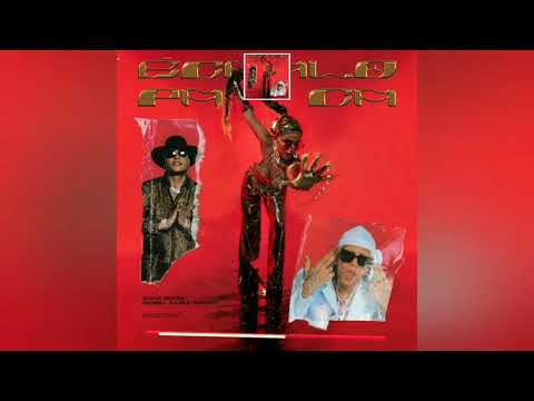 Échalo Pa Ca - Sofía Reyes X Darell X Lalo Ebratt ( LETRA X LYRICS )