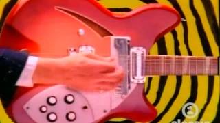 The Turtles - Happy Together (VH1)