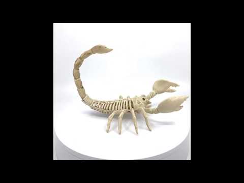 Crazy Bonez Skeleton Scorpion 360