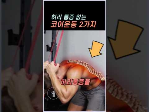 허리 통증 완화 3동작 루틴 미리보기