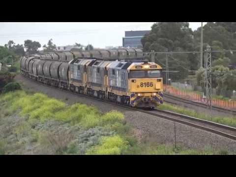 POWERFUL Triple 81 Class Diesel Locomotives on a Pacific National Grain - Empty and Fully Loaded