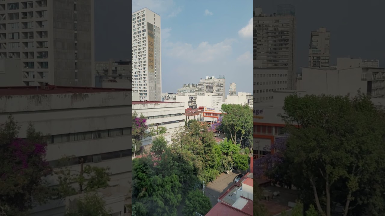 Michelle Muñoz Pedraza-3