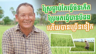បចេ្ចកទេសរៀបដីពិតជាសំខាន់