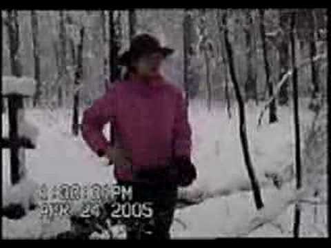 How To Tame A Wild Beast