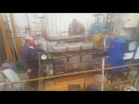 106A Model Winton Petrol Engine