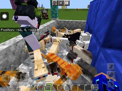 How to summon a giant cat in Minecraft using commands