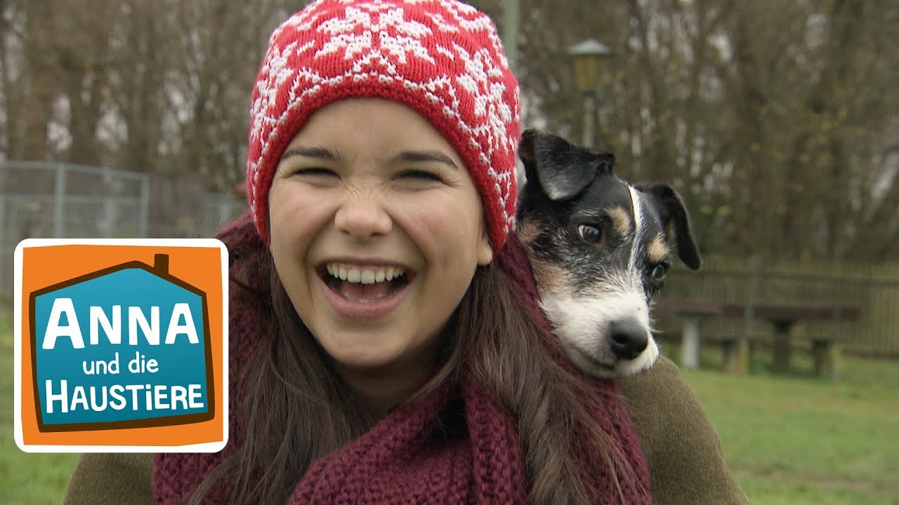 Hund | Reportage für Kinder | Anna und die Haustiere
