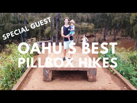 All of Oahu's Pillbox Hikes Explained (plus the history): 5 Honolulu Pillbox Hikes