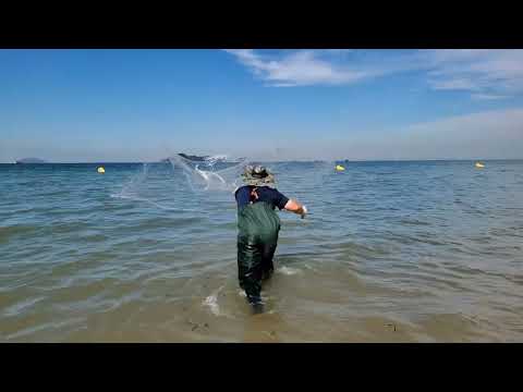 cast net fishing (2022.09.25)