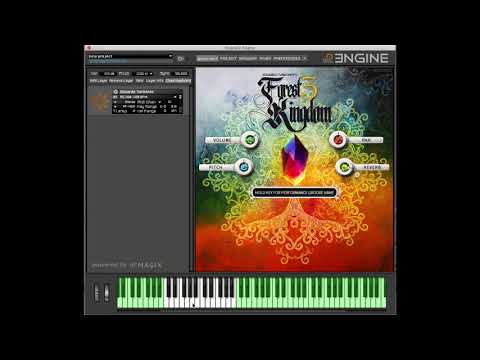 FOREST KINGDOM 3 Performance Grooves Tempo 160-180