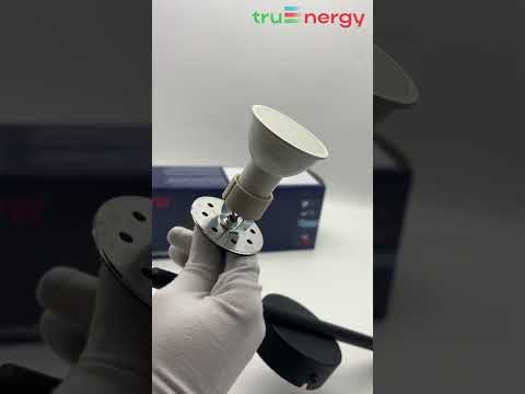 Миниатюра изображения товара Спот Truenergy 21461