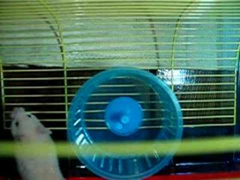 Historia de un letrerito