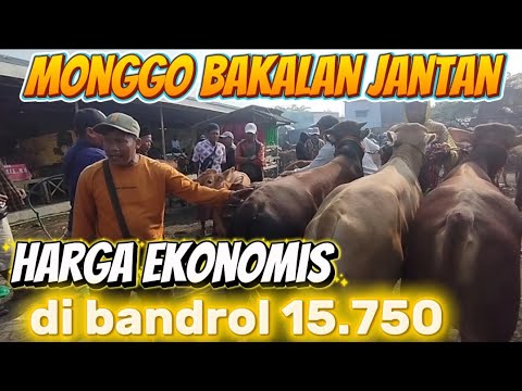 LATEST MARKET PRICES IN BLEGA BANGKALAN MADURA