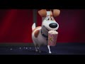 The Secret Life Of Pets 2 At ODEON Cinemas