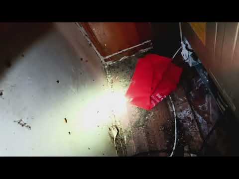 Behind the Fridge is a Ton of Cockroaches in Howell, NJ