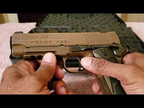 Sig Sauer 1911 Spartan II  Carry Review