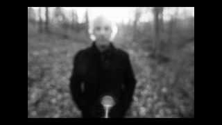 Lee Ranaldo - The End of Life in America / Angels
