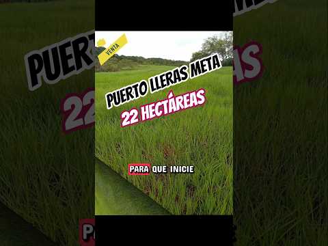 finca en puerto lleras meta, 22 hectáreas #fincallanosariari #puertollerasmeta #fincaganadera #venta