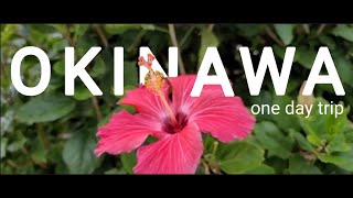 【スマホだけでCinematic Vlog】沖縄1日旅行 美ら海,ター滝