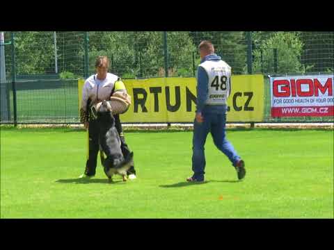 2018 Czech Nationals Marek Cerny with Extreme Orex Aykmar - Protection