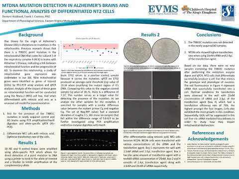 Thumbnail image of video presentation for mtDNA Mutation Detection in Alzheimer's Brains and Functional Analysis of Differentiated NT2 cells