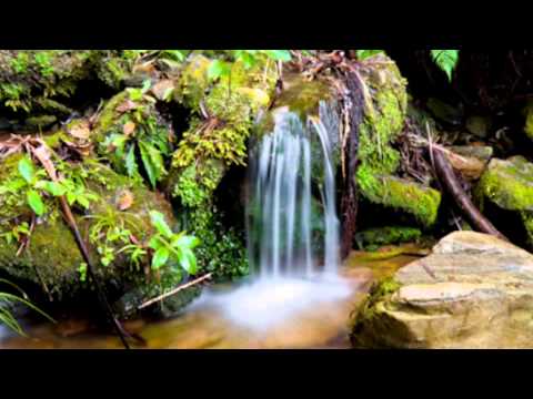 Tuck Everlasting Movie Trailer by Allison