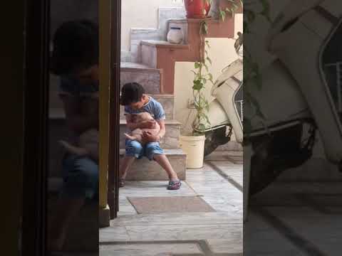 My son playing with puppy