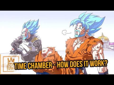 Mind Blowing Things About Dragon Ball Z - Time Chamber Explained For Fun