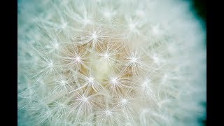 Ruido blanco audio terapia acúfenos | smoothed white noise for tinnitus  | HD