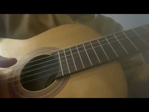 JUAN ESTRUCH Handcarft spanish classical in solid woods + hardcase 1960 image 17