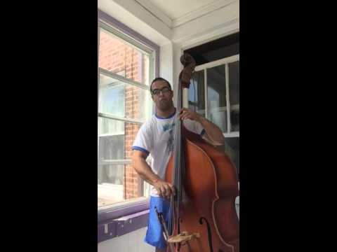 Controversy-Prince Tribute- Bass Upright